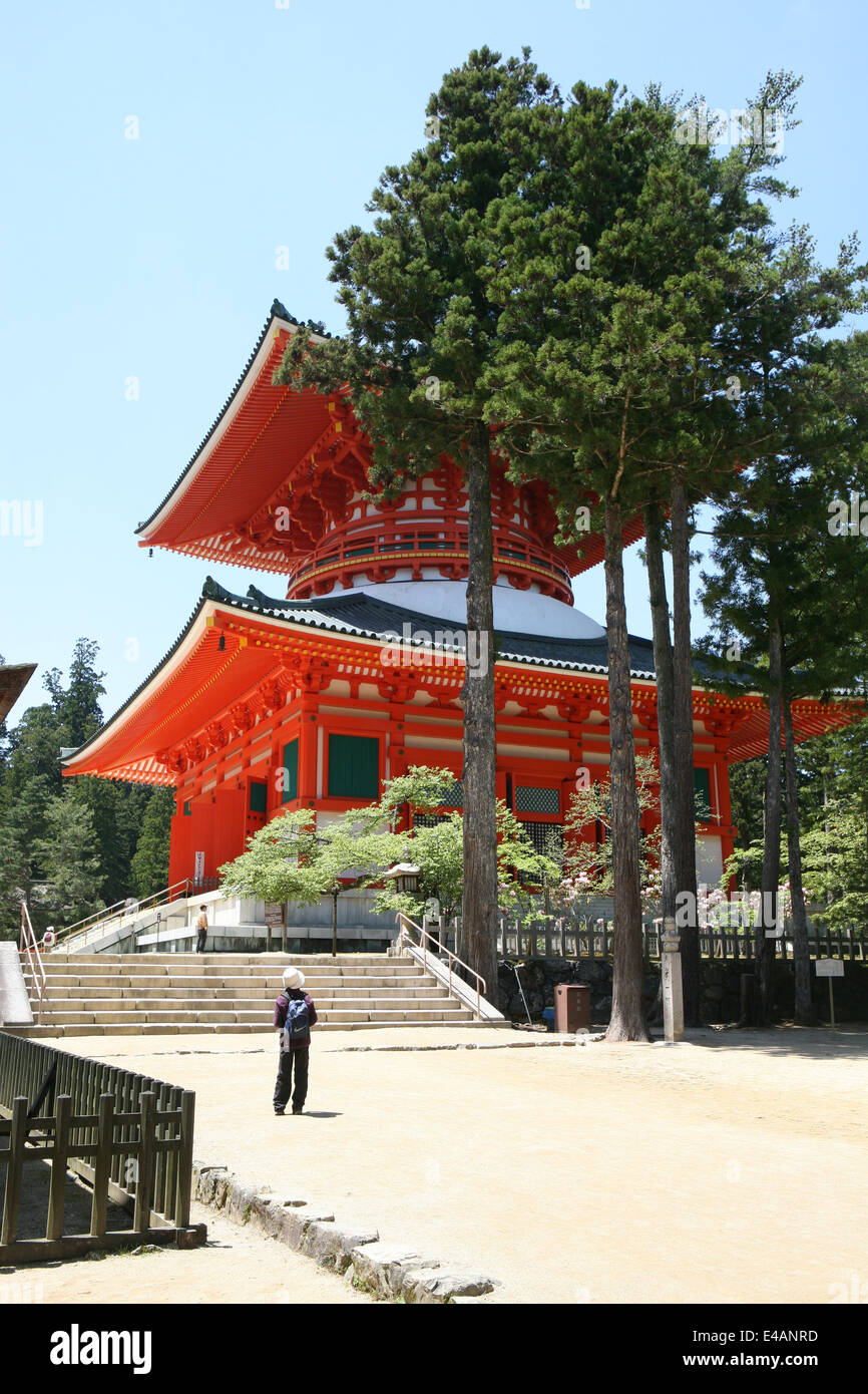 Dai complessi Garan Koyasan Koya Giappone Foto Stock
