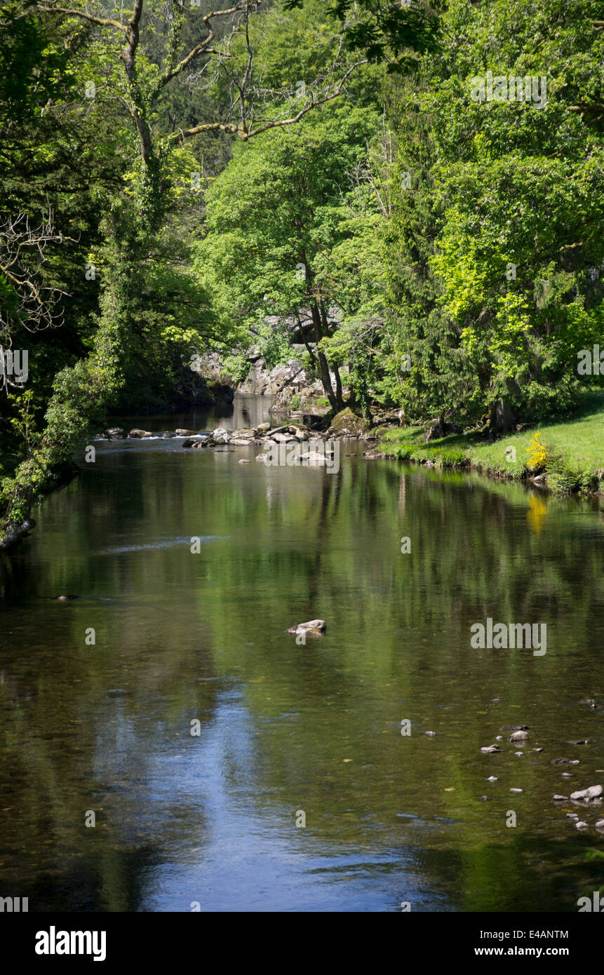 Afon Llugwy, Betws Y Coed, Conwy County Foto Stock