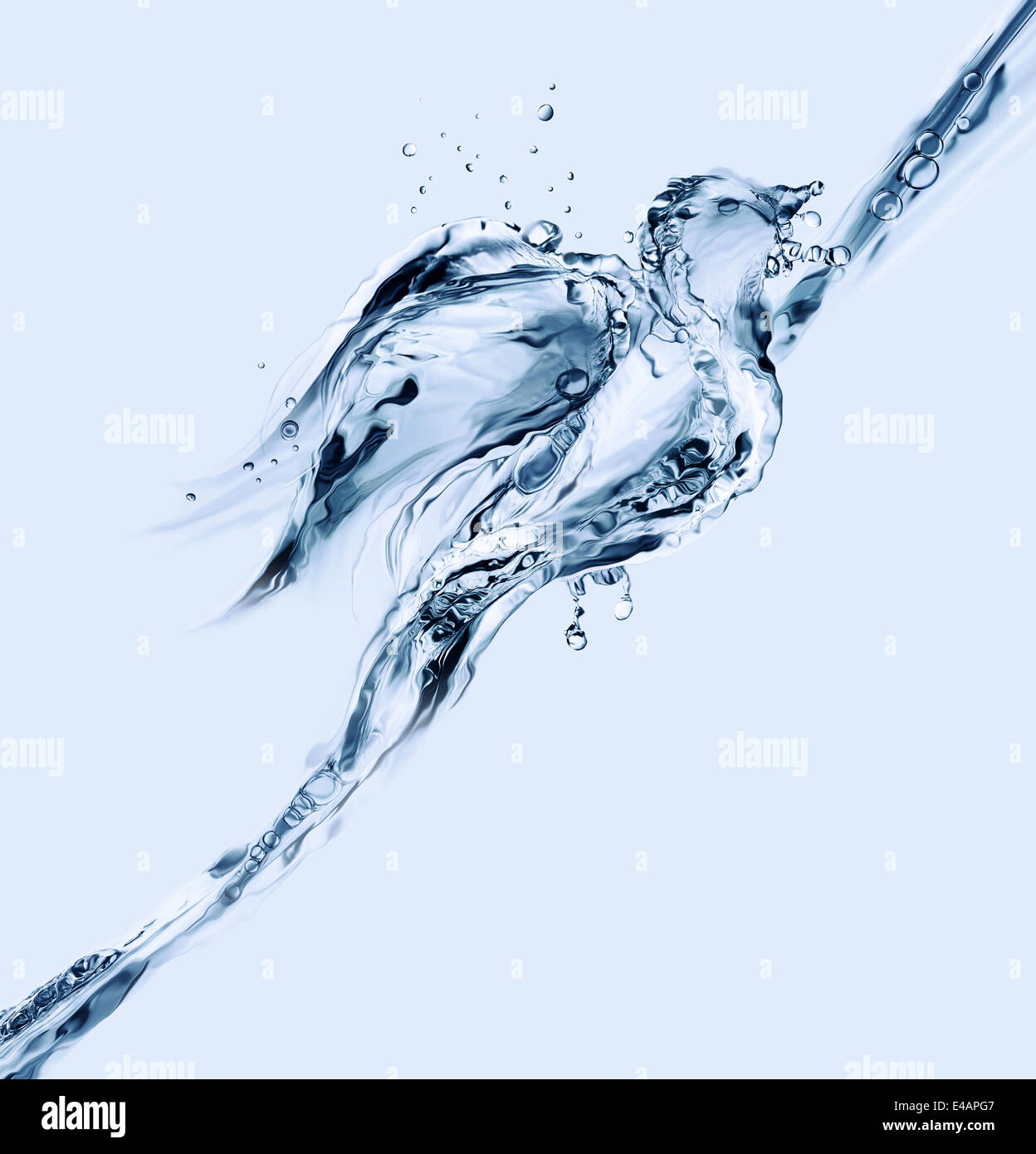 Un uccello fatto di acqua verso l'alto galleggiante sulla superficie dell'acqua. Foto Stock