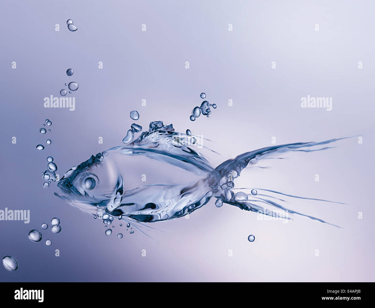 Pesci d'acqua Foto Stock