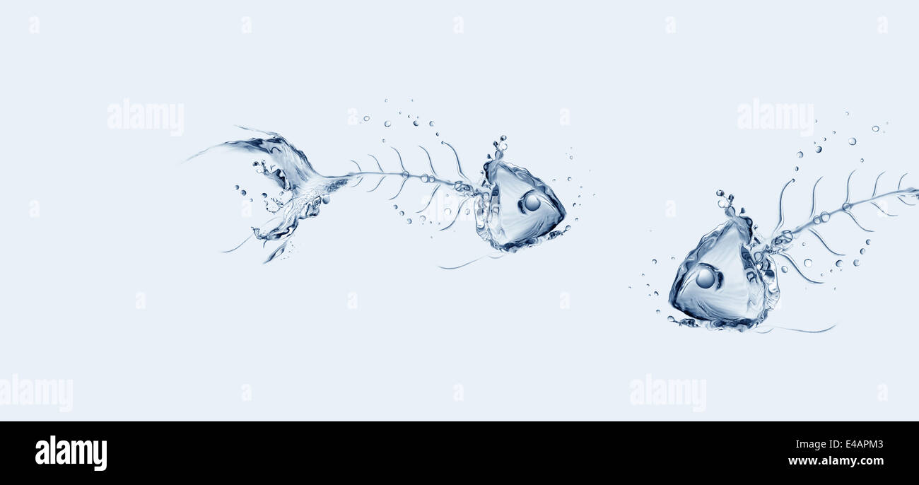 Due acqua ossa di pesce a parlare in acqua blu. Foto Stock