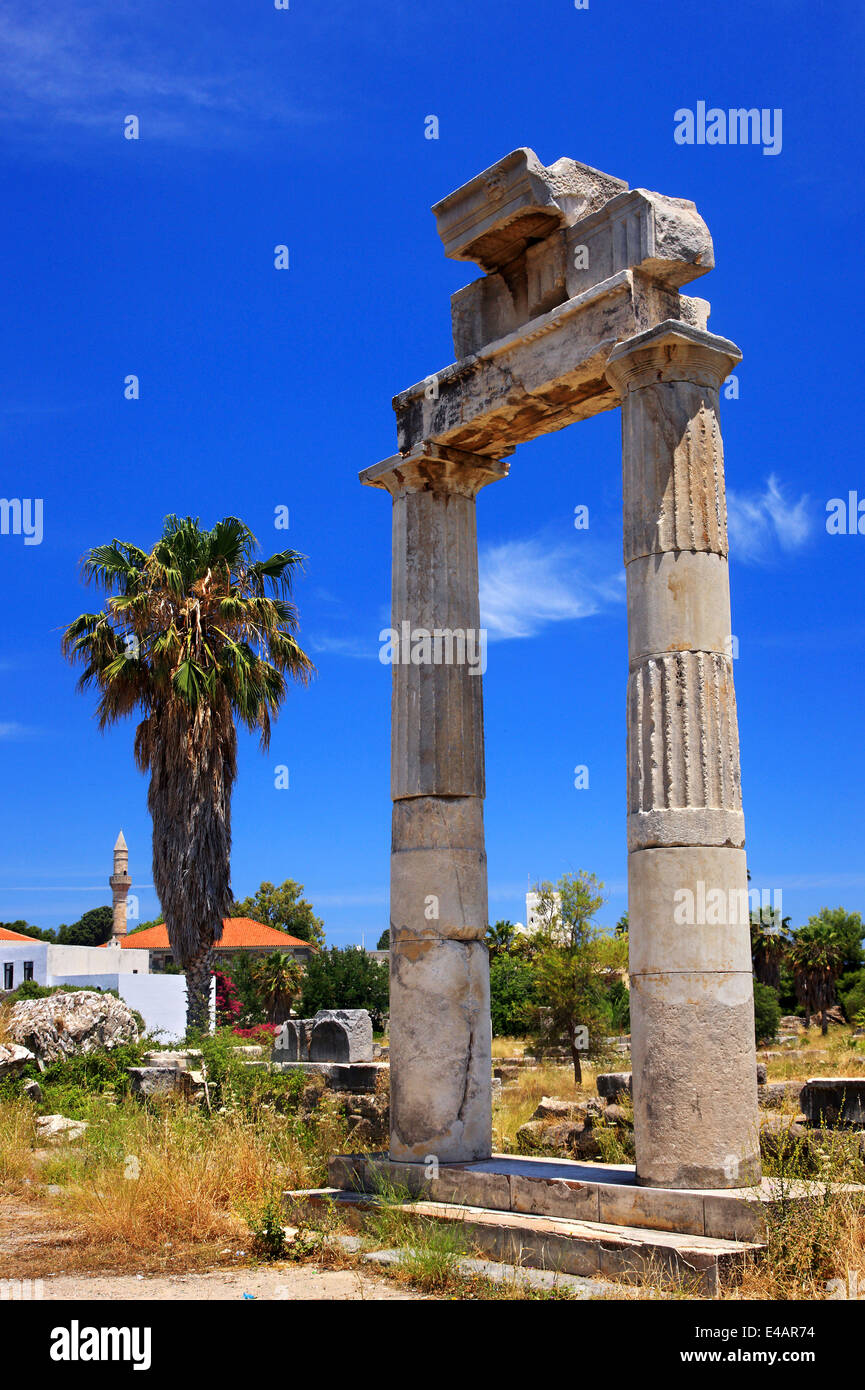 Presso il sito archeologico di Antica Agora, la città di Kos, isola di Kos, Dodecanneso, Mar Egeo, Grecia. Foto Stock