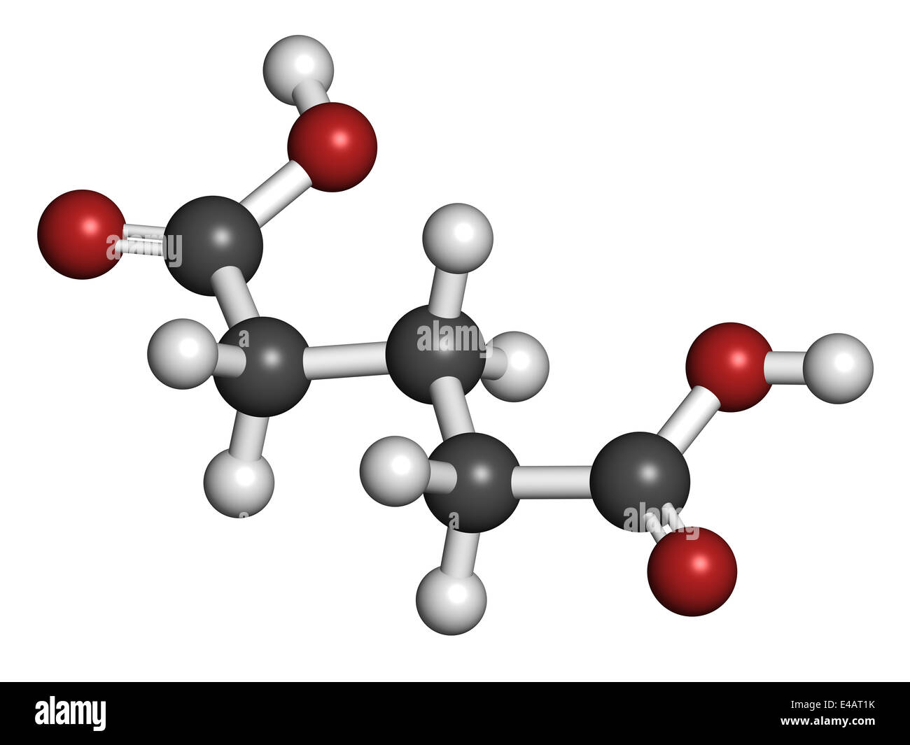 Acido glutarico molecola. Acidi organici bicarbossilici. Gli atomi sono  rappresentati come sfere convenzionale con codifica a colori Foto stock -  Alamy