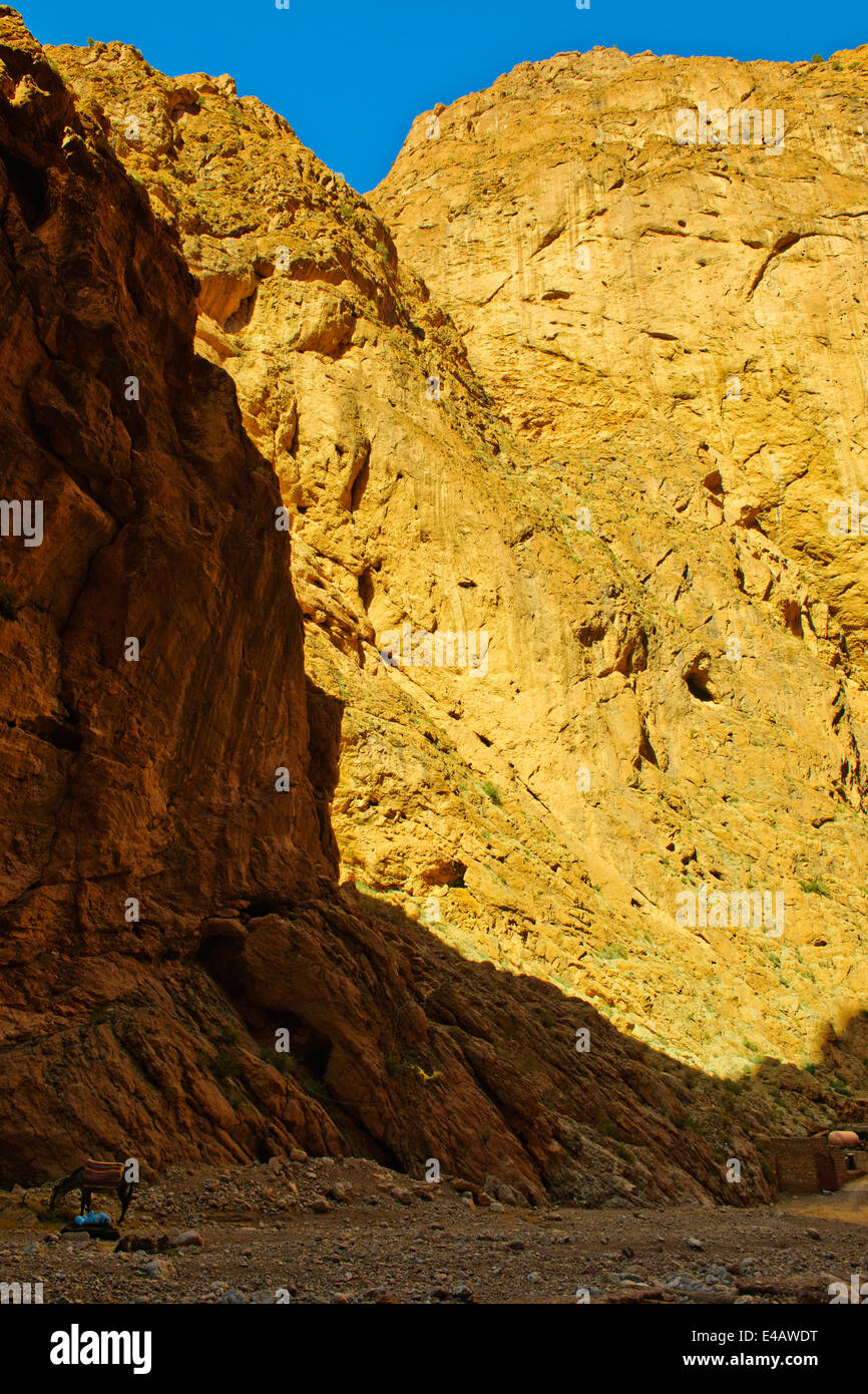 Aspetti della gola Todgha,strada asfaltata,hotels,escursioni,i venditori di tappeti,Fiume,4 ruote motrici,gli escursionisti, gli alpinisti,ripide scogliere,Marocco Foto Stock