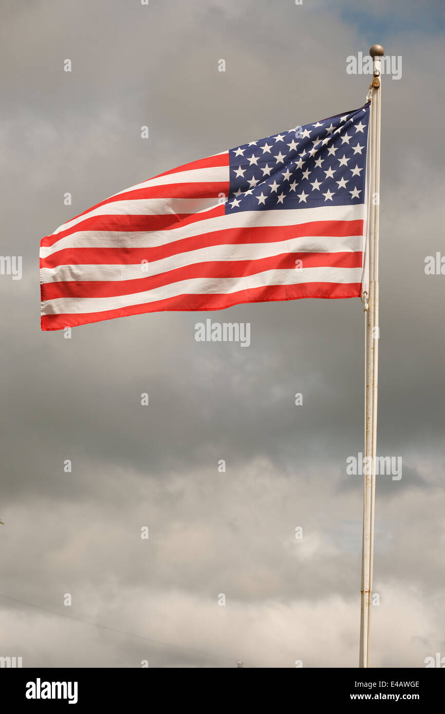 Bandiera degli Stati Uniti d'America Foto Stock