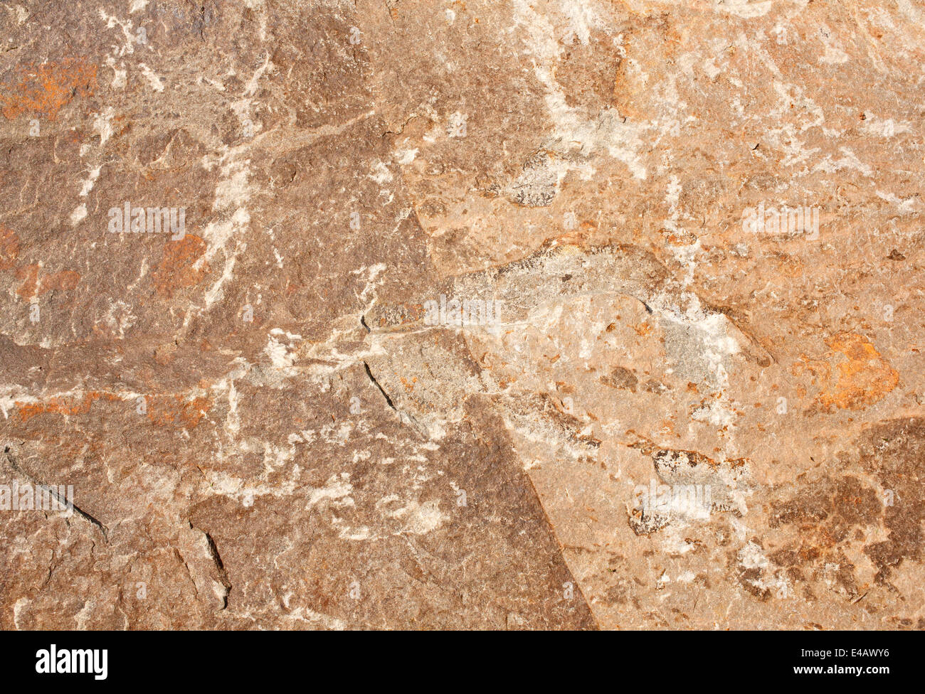 Texture - rock background. Foto Stock