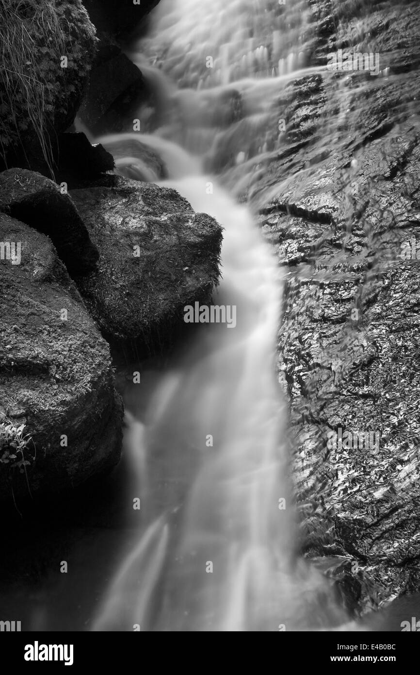 Little Creek galleggianti intorno rocce di muschio, una piccola cascata Foto Stock