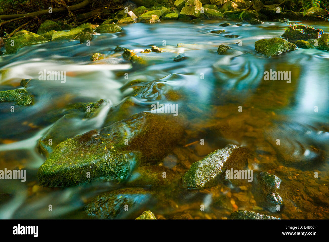 Little Creek galleggianti intorno rocce di muschio, una piccola cascata Foto Stock