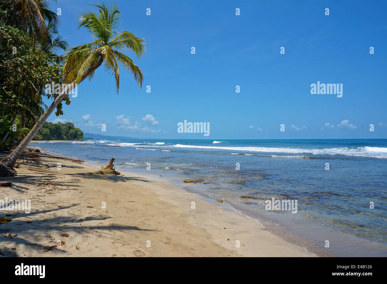 Incontaminata spiaggia dei Caraibi in Costa Rica, Playa Chiquita, Puerto Viejo de Talamanca Foto Stock