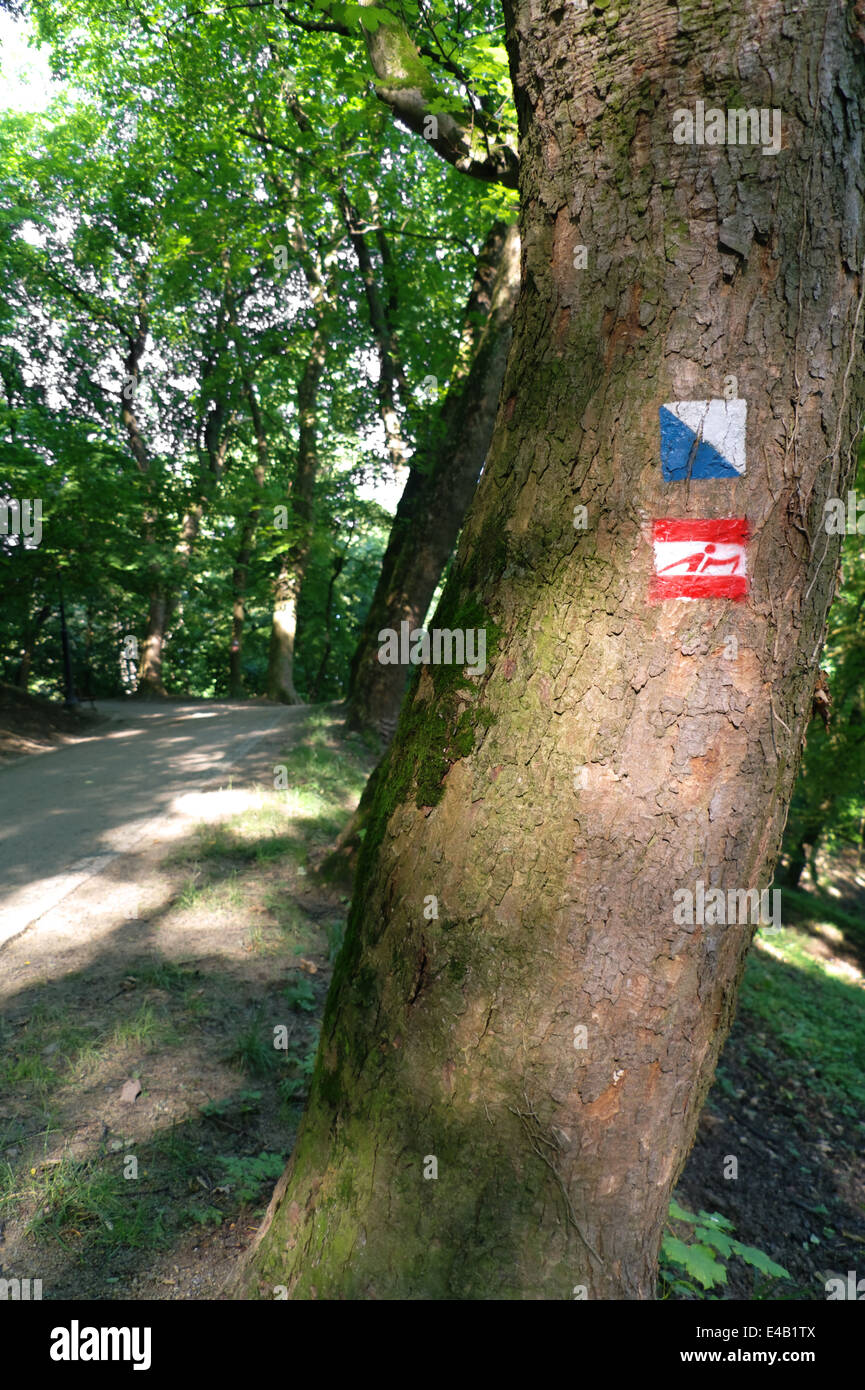 Trail blazing in Polonia Foto Stock