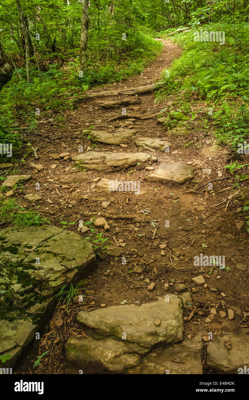 L'Appalachian Trail a Neels Gap, sulle montagne della Georgia settentrionale, vicino a Blairsville. (USA) Foto Stock