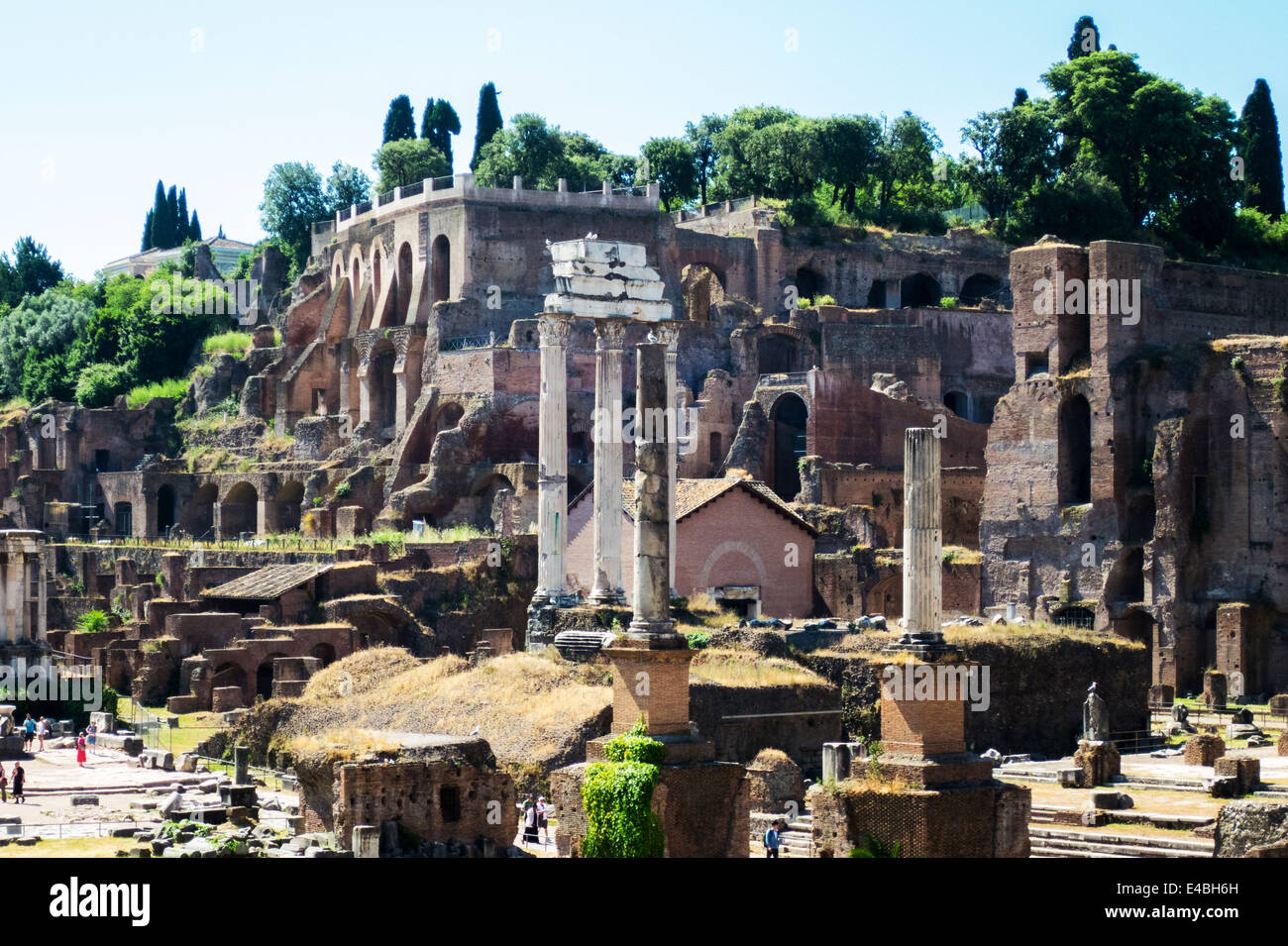 Le rovine del Foro Romano guardando verso il Colle Palatino in Roma Foto Stock