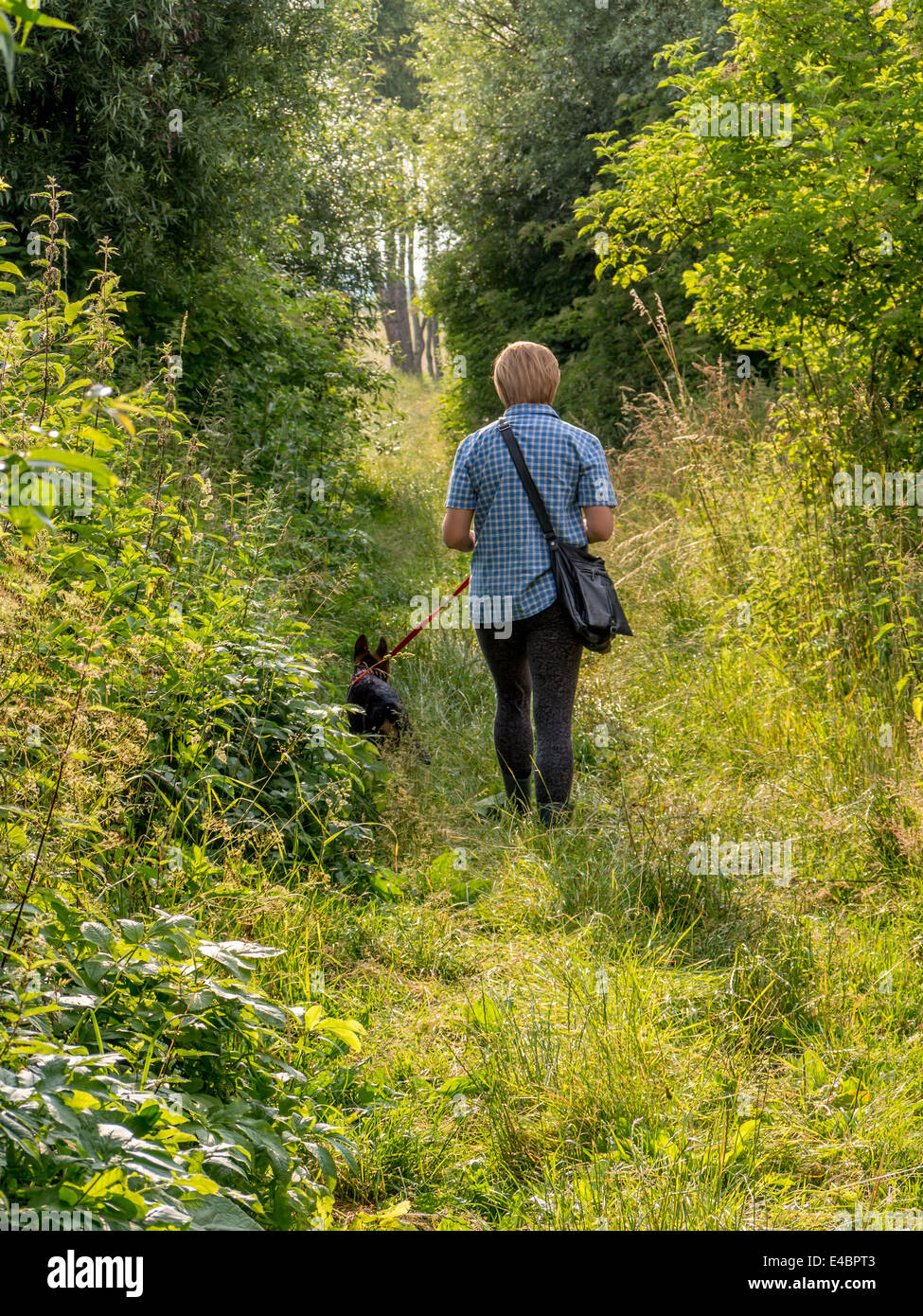 Giovane donna facendo una passeggiata con il pastore tedesco cucciolo in campagna Foto Stock