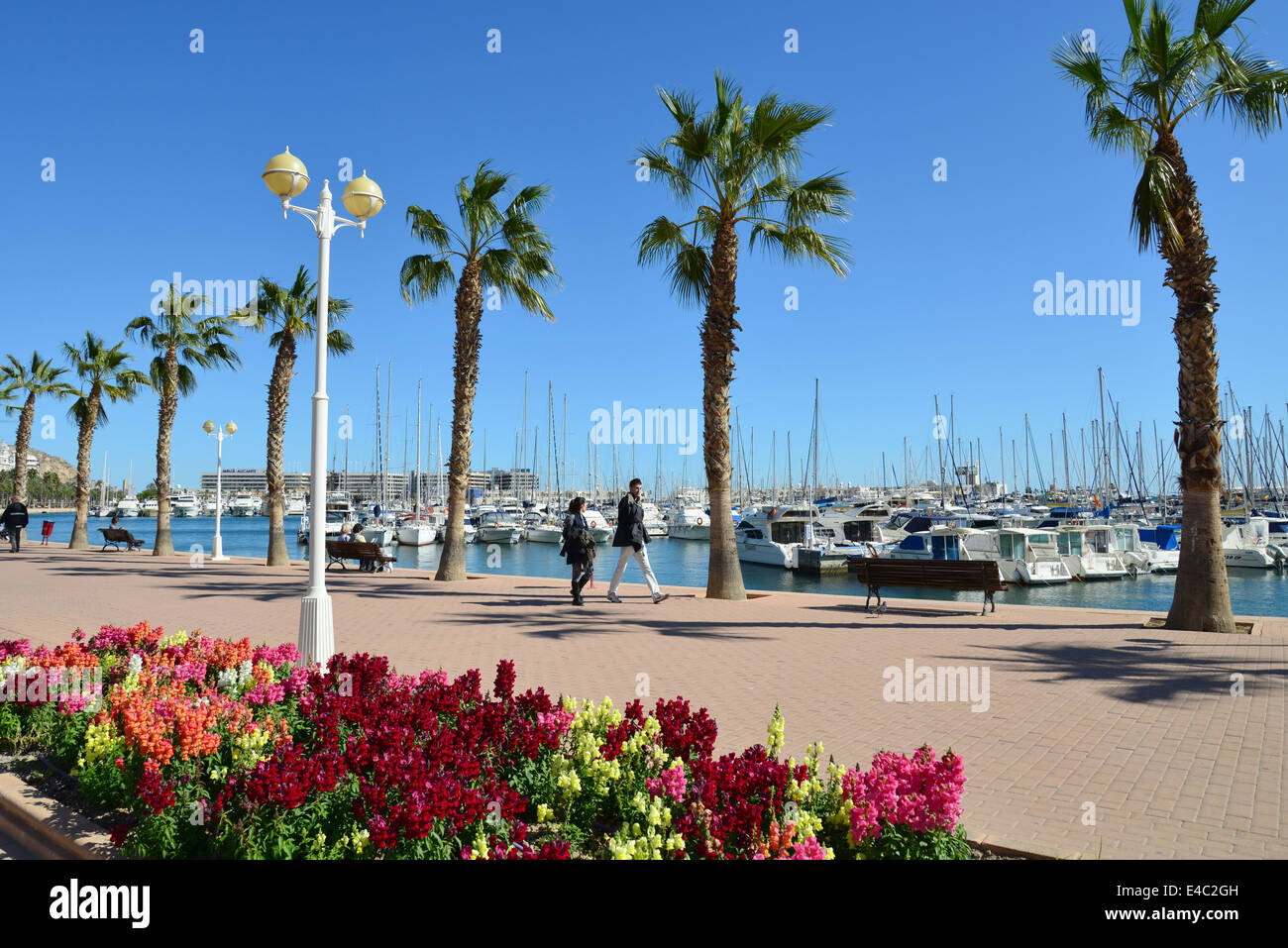Lungomare esplanade, Porto di Alicante, Alicante, Costa Blanca, Alicante provincia, il Regno di Spagna Foto Stock