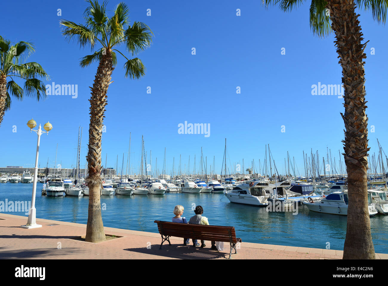 Lungomare esplanade, Porto di Alicante, Alicante, Costa Blanca, Alicante provincia, il Regno di Spagna Foto Stock