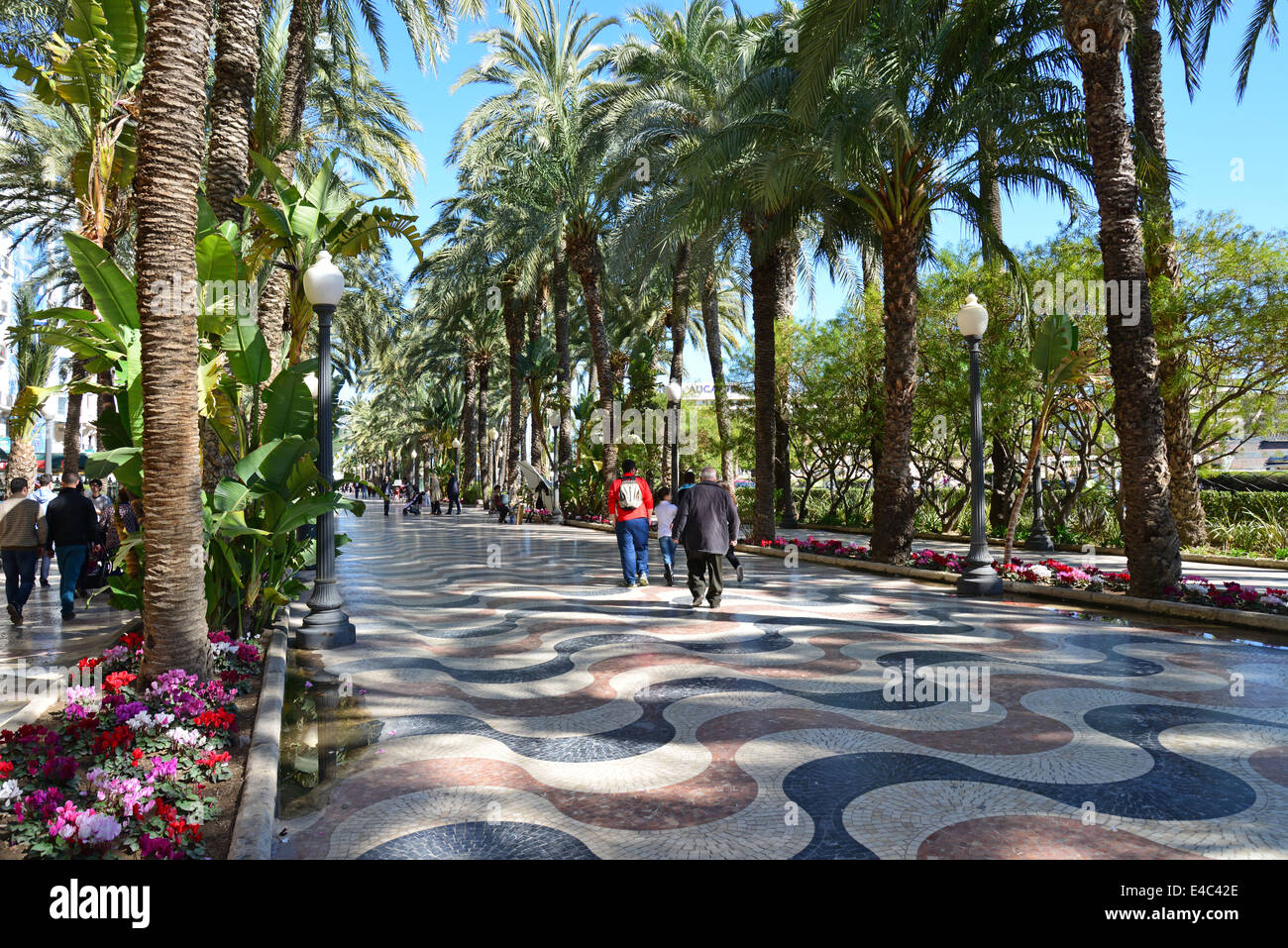 Explanada de España, Alicante, Costa Blanca, Alicante provincia, il Regno di Spagna Foto Stock