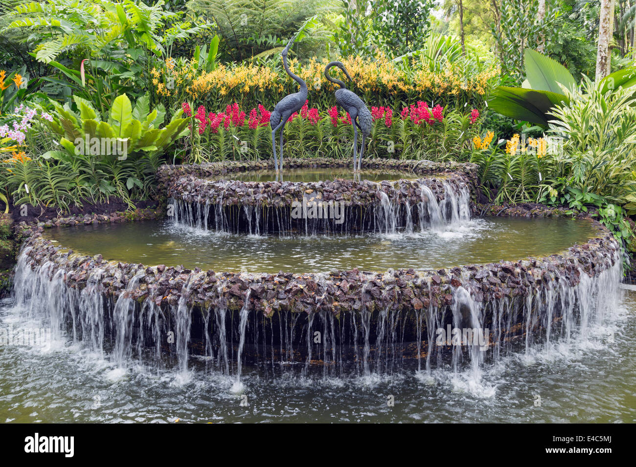 Il Sud Est asiatico, Singapore Botanic Gardens Foto Stock