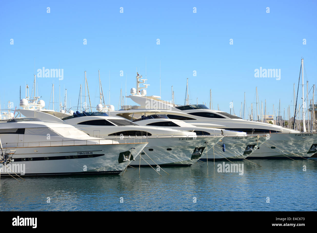 Barche di lusso in harbour marina, Porto di Alicante, Costa Blanca, Alicante provincia, il Regno di Spagna Foto Stock