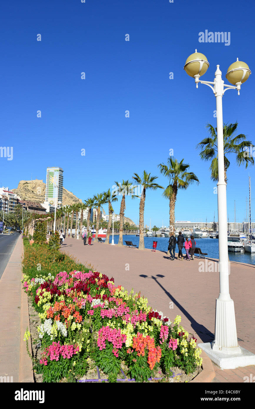 Lungomare esplanade, Alicante, Costa Blanca, Alicante provincia, il Regno di Spagna Foto Stock