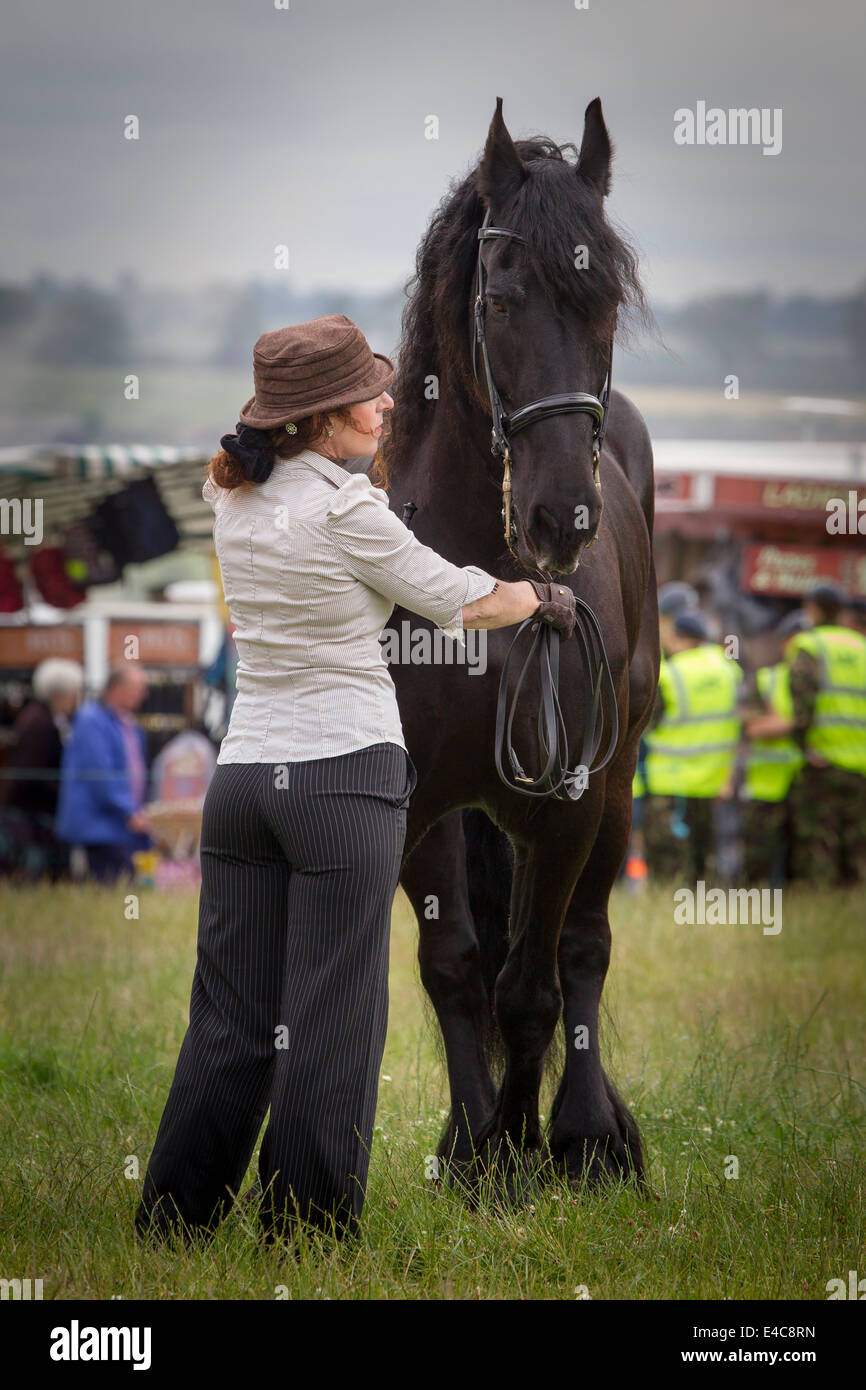 Northamptonshire U.K. Sabato 5 luglio 2014. La ventottesima Hollowell vapore e Heavy Horse Show Foto Stock