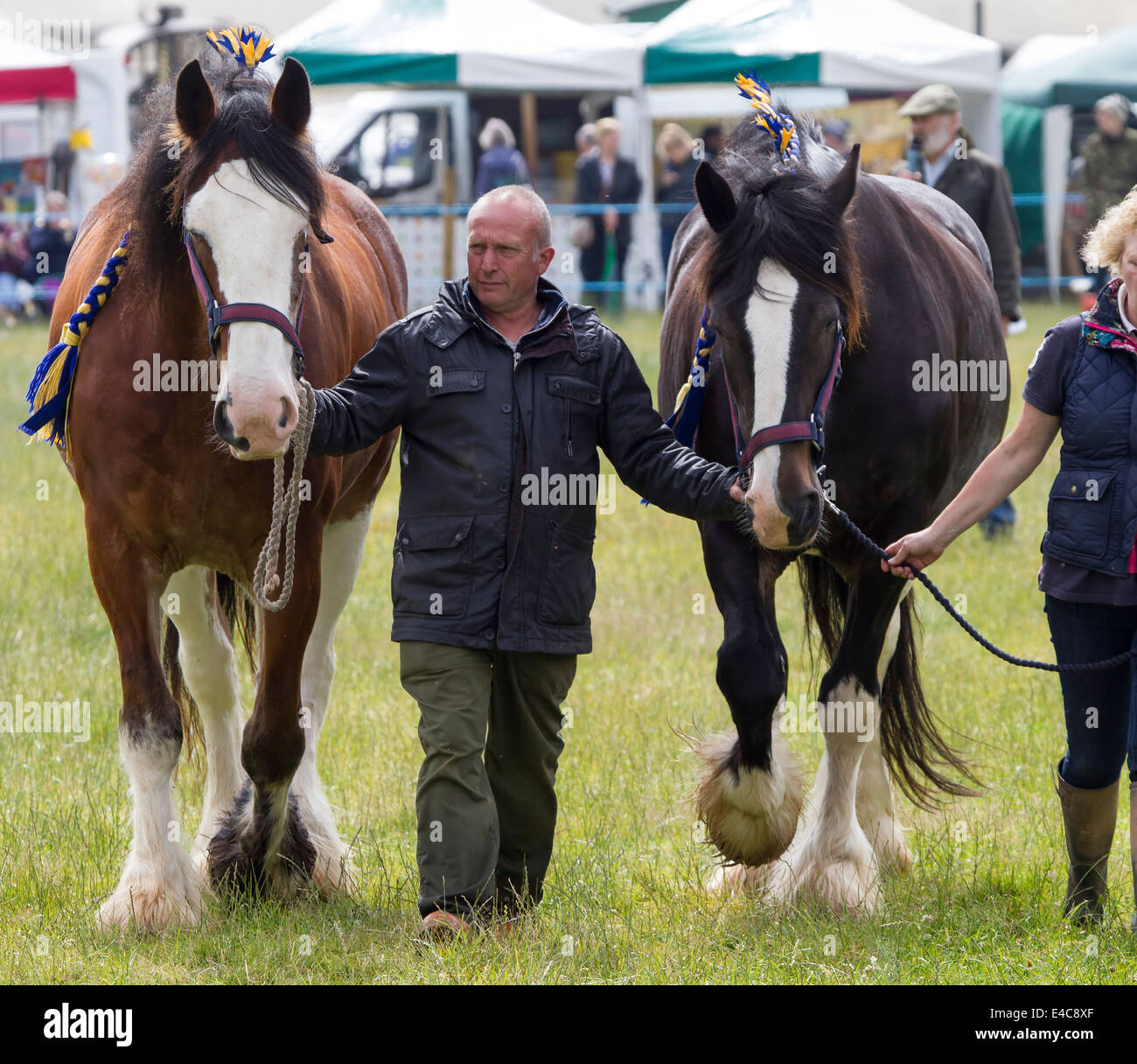 Northamptonshire U.K. Sabato 5 luglio 2014. La ventottesima Hollowell vapore e Heavy Horse Show Foto Stock