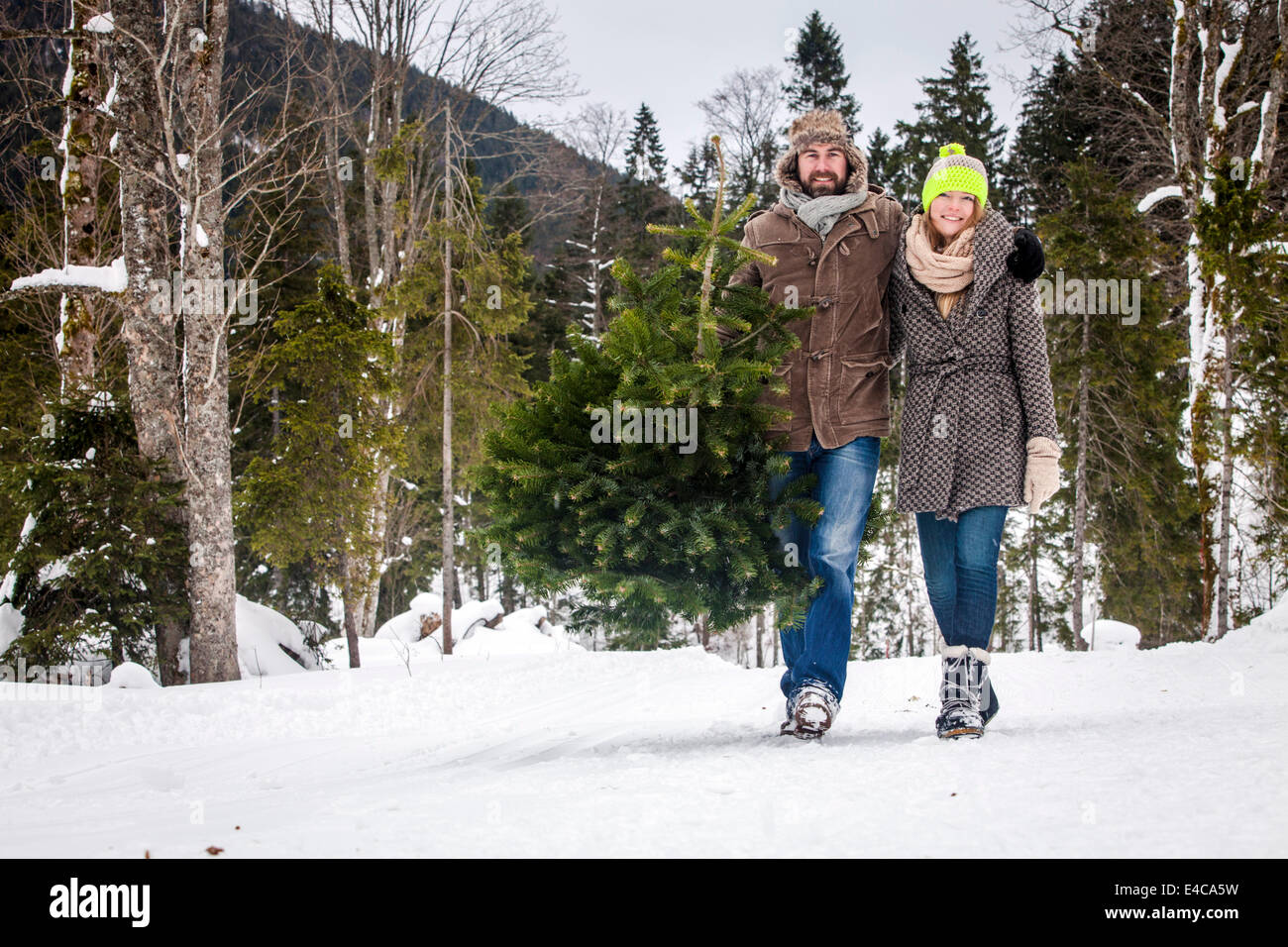 Coppia felice porta albero di Natale nel paesaggio innevato, Baviera, Germania Foto Stock