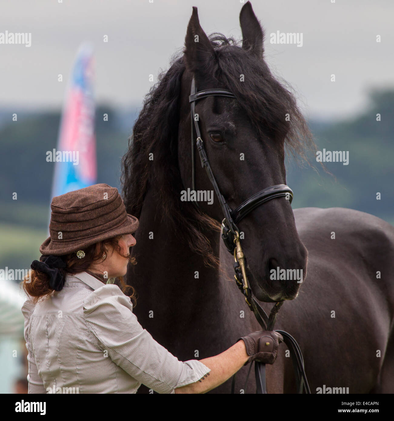 Northamptonshire U.K. Sabato 5 luglio 2014. La ventottesima Hollowell vapore e Heavy Horse Show Foto Stock
