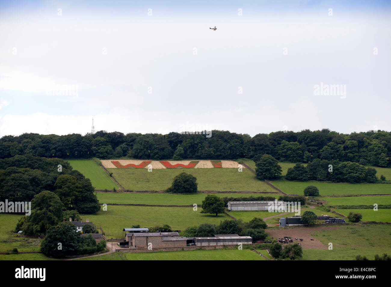 Belper, Derbyshire, Regno Unito. 8 Luglio, 2014. Una guerra mondiale due Tiger Moth suggerimenti le sue ali nel ricordo come si vola su un campo dove il papavero compitare WW1 gigante in lettere rosse che si affaccia Belper nel Derbyshire. Il gigante 100 piedi lettere sono state seminate da membri di Belper dell'esercito di cadetti con 25 milioni di semi di papavero lo scorso autunno - uno per ogni uomo e cavallo ucciso nella Prima Guerra Mondiale. Foto Stock