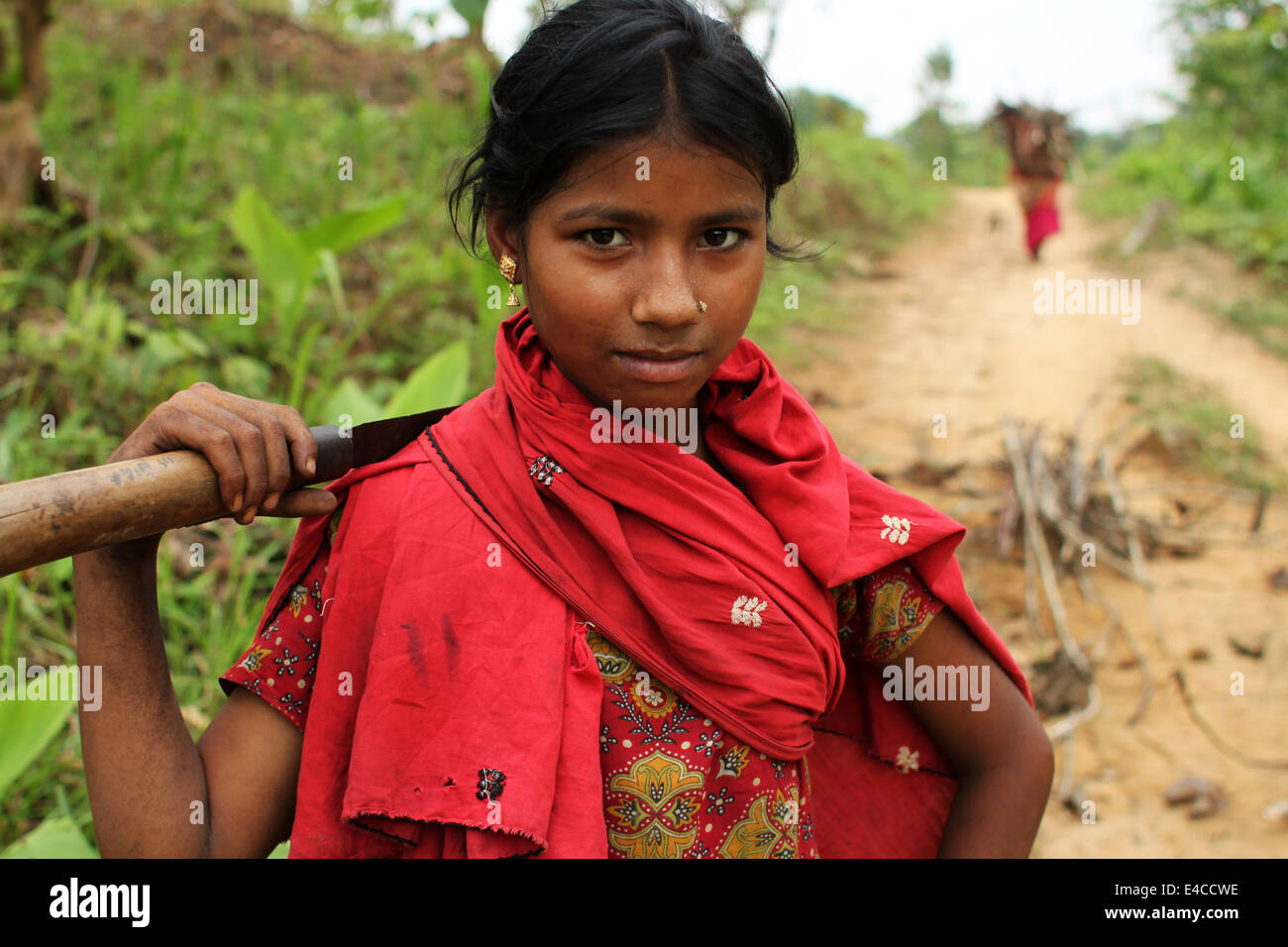 Le donne indigene raccogliere legna da giungla Foto Stock
