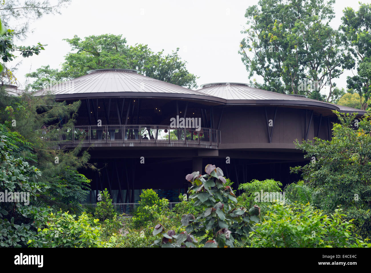Il Sud Est asiatico, Singapore, Singapore Zoo, River Safari Foto Stock
