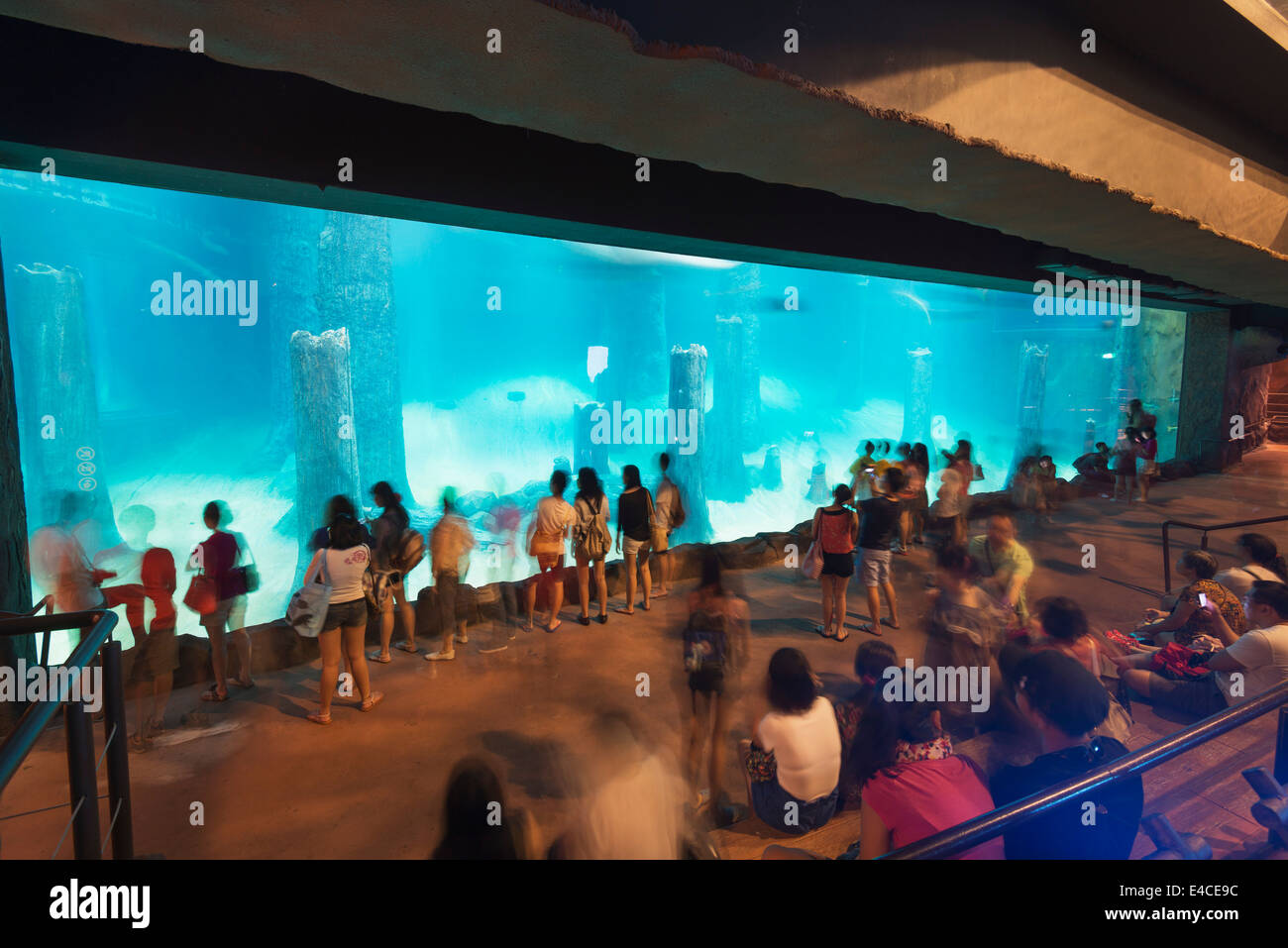 Il Sud Est asiatico, Singapore, Singapore Zoo Safari sul fiume, acquario Foto Stock