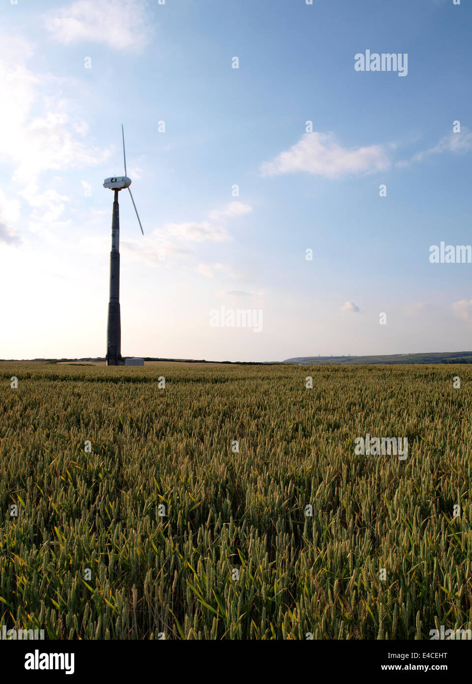 Turbina eolica in un campo di grano, Cornwall, Regno Unito Foto Stock