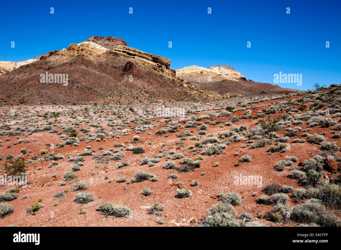 Giubileo Pass, Death Valley, California, Stati Uniti d'America Foto Stock