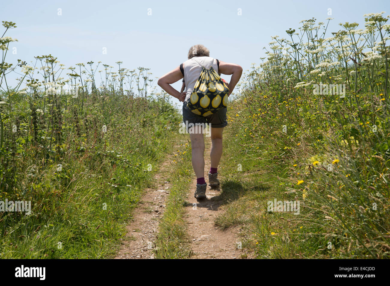 La Cornovaglia. Penisola di Roseland. Donna di mezza età walker indossare pantaloncini corti e a piedi il sentiero costiero Foto Stock
