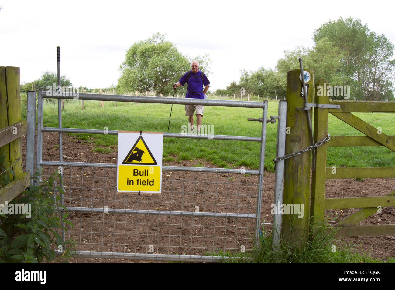 Uomo che cammina verso un recinto con un segnale di avvertimento di Bull nel campo lungo il fiume Tamigi percorso attraverso Inghilterra rurale Foto Stock