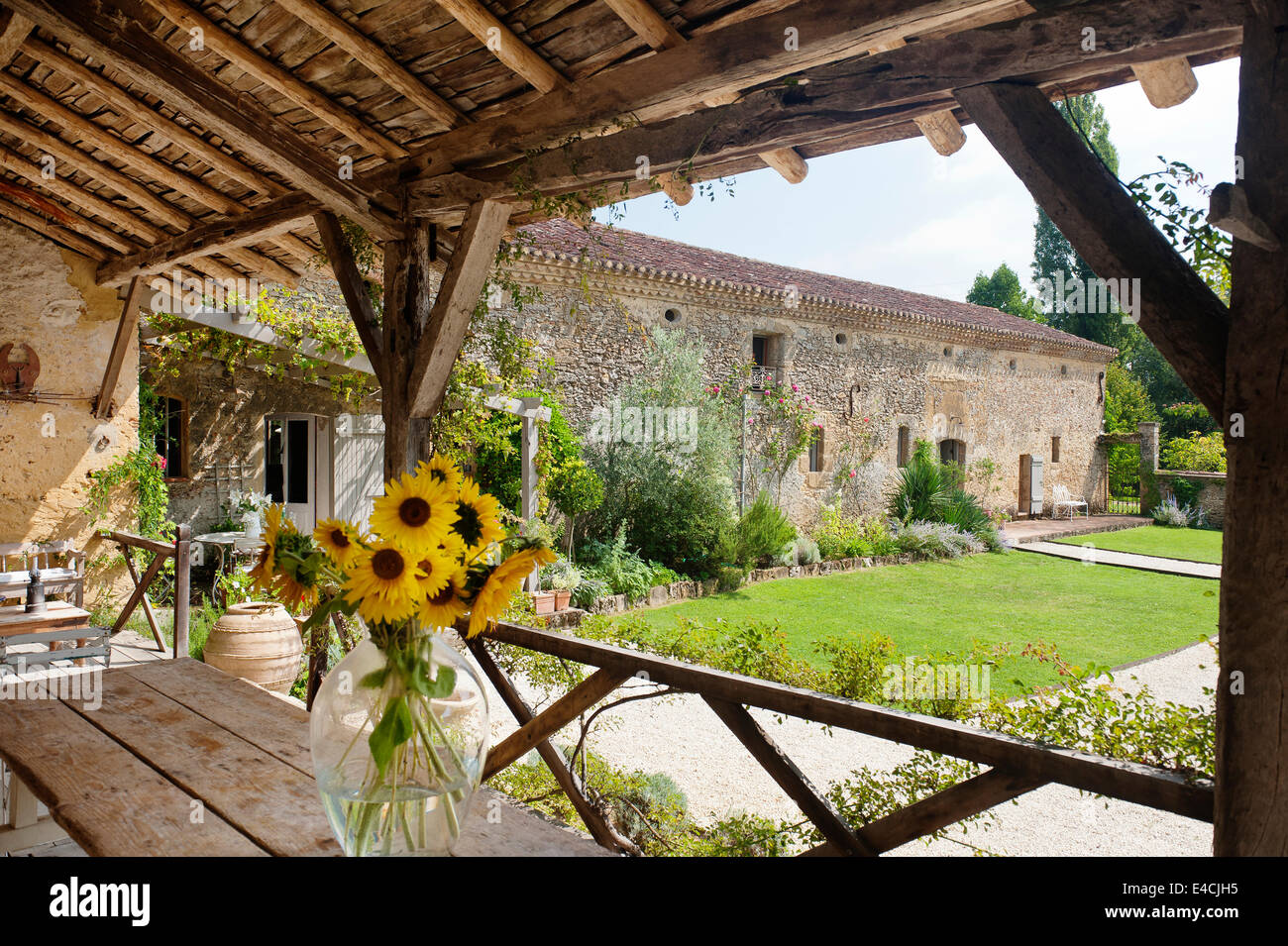 Brocca di girasoli sul tavolo in legno di magra con vista giardino Foto Stock