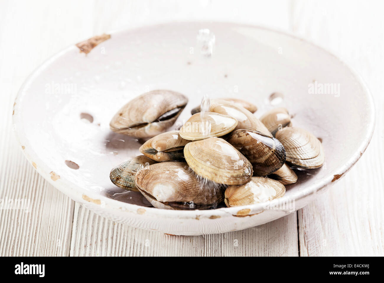 Materie gusci vongole in ceramica vintage scolapasta e gocce in caduta sul bianco sullo sfondo di legno Foto Stock
