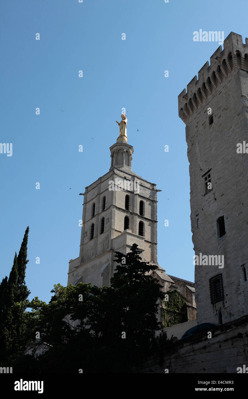 Avignon Francia Provenza Foto Stock