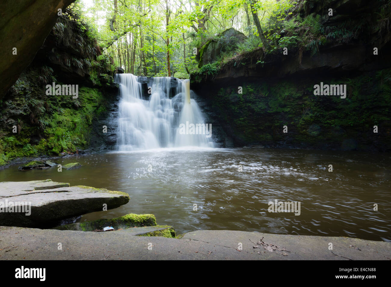 Goit Stock a cascata in Haren boschi vicino a Bradford Foto Stock