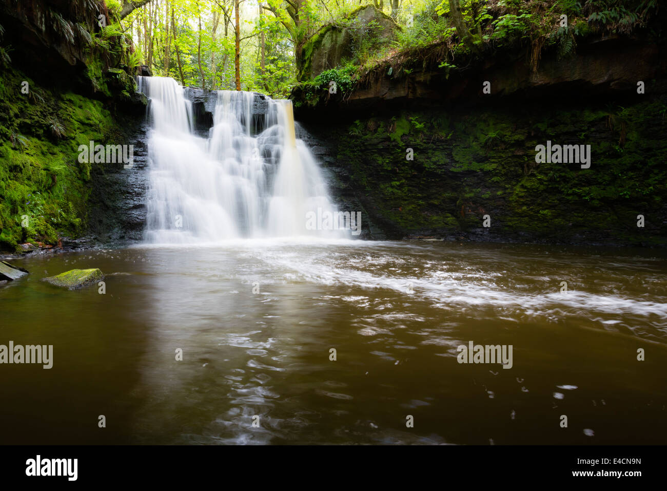 Goit Stock a cascata in Haren boschi vicino a Bradford Foto Stock