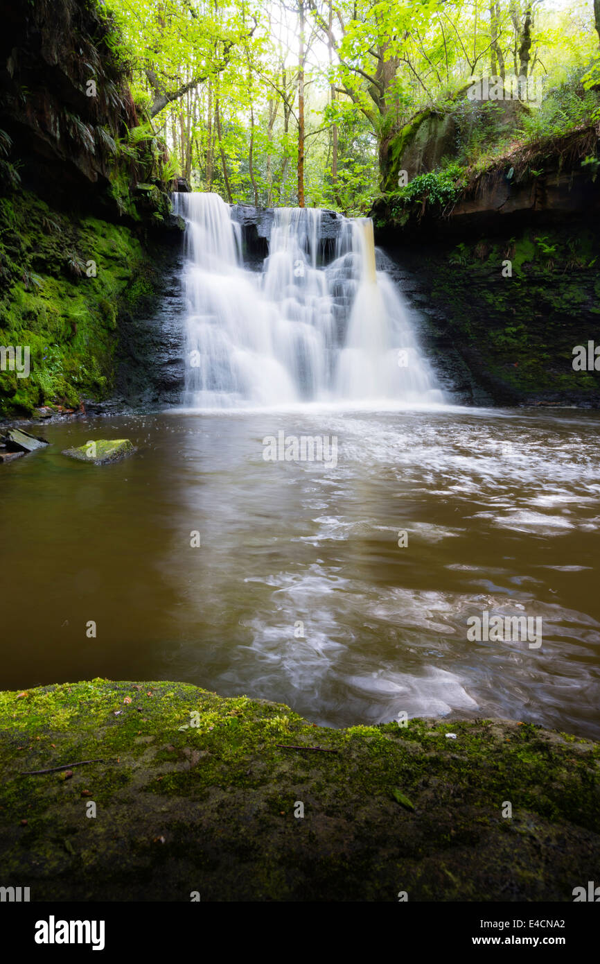 Goit Stock a cascata in Haren boschi vicino a Bradford Foto Stock