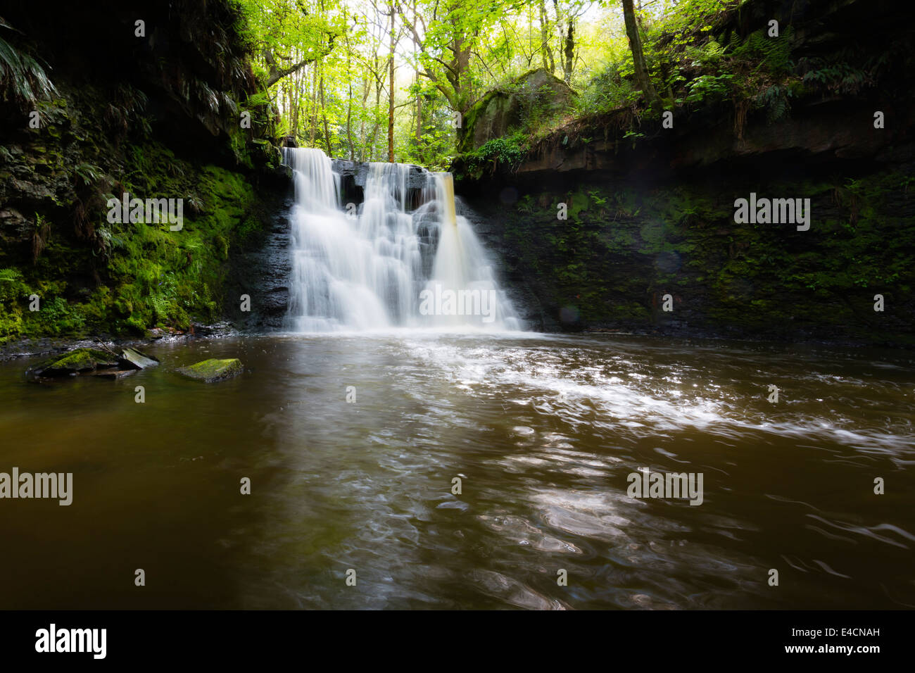 Goit Stock a cascata in Haren boschi vicino a Bradford Foto Stock