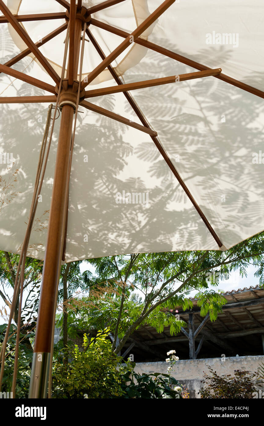 Ombre di foglia visto dall'interno di un ombrellone Foto Stock