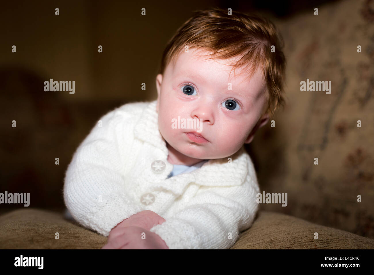 12 Settimana baby boy Foto Stock