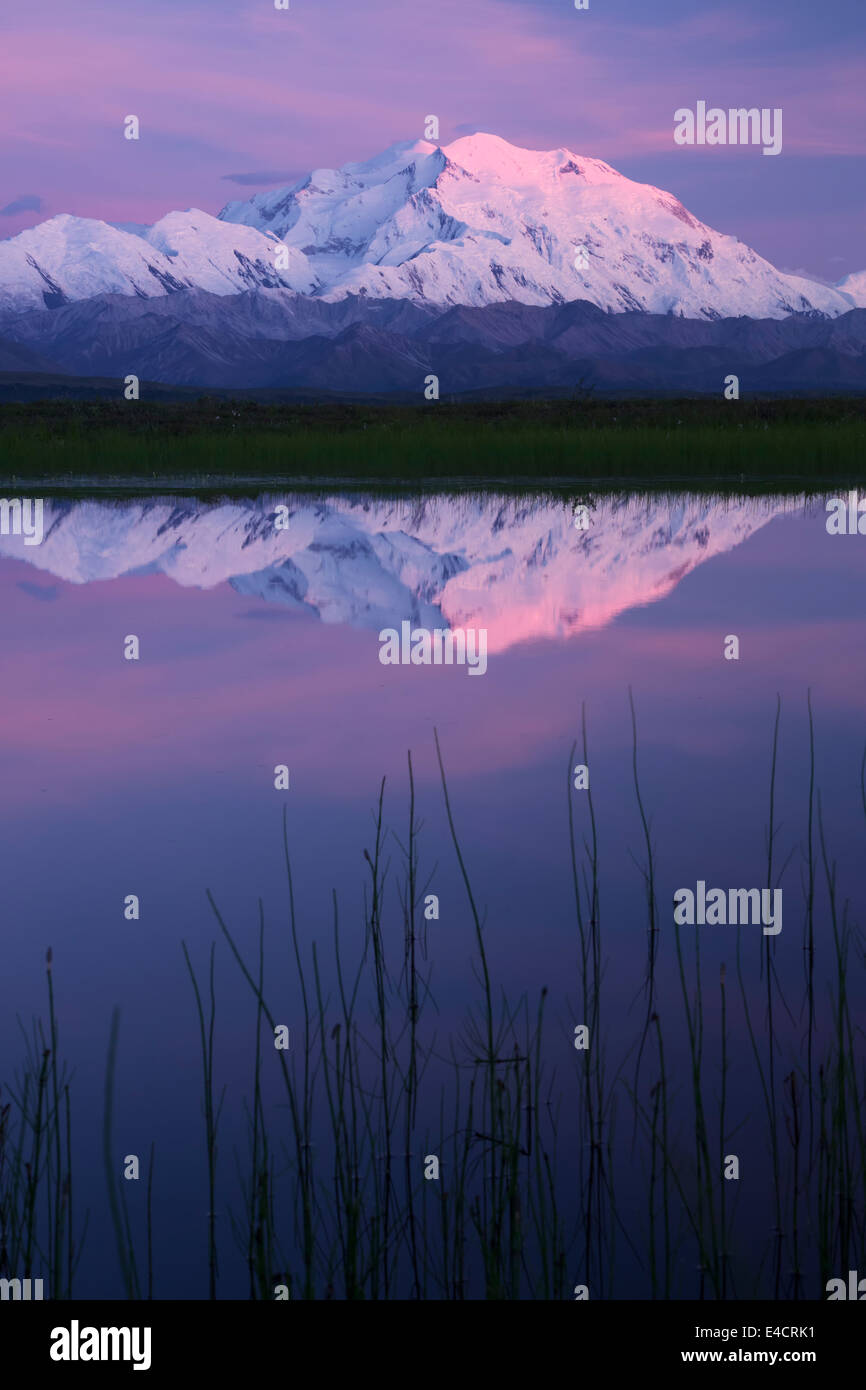 Mt. McKinley, noto anche come Denali, Parco Nazionale di Denali, Alaska. Foto Stock