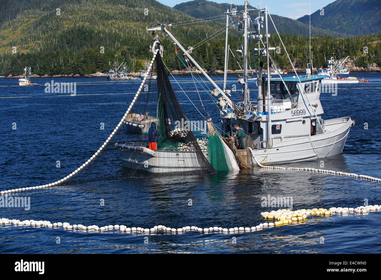 Commerciale di pesca del salmone, Prince William Sound, Chugach National Forest, Alaska Foto Stock
