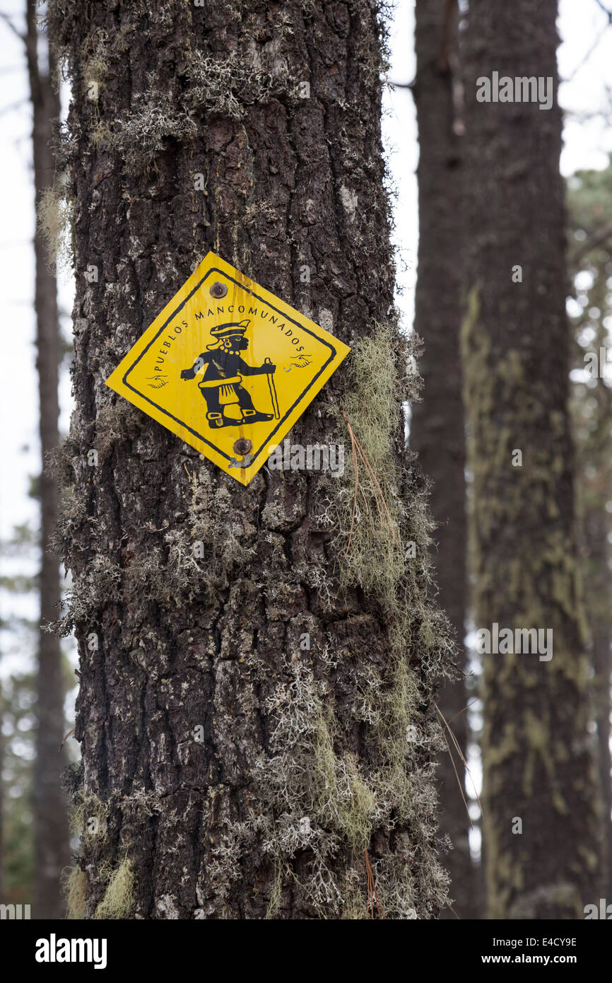 Marcatore per l'Rout 5 trail in Pueblos Mancomunados - Ixtlán distretto, Sierra Norte, Oaxaca, Messico Foto Stock
