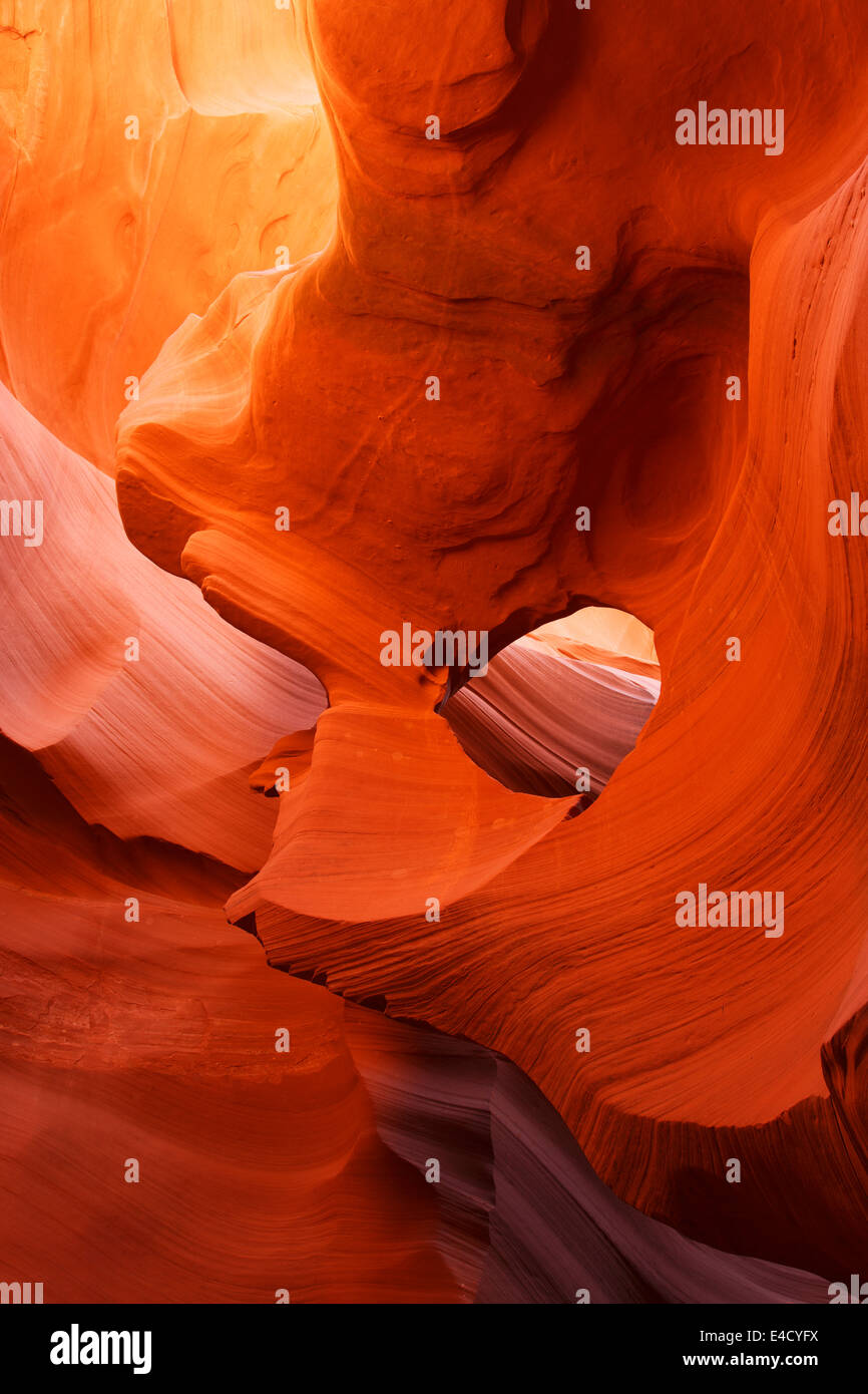 Abbassare Antelope Canyon Slot, parco Navajo, Pagina, Arizona. Foto Stock