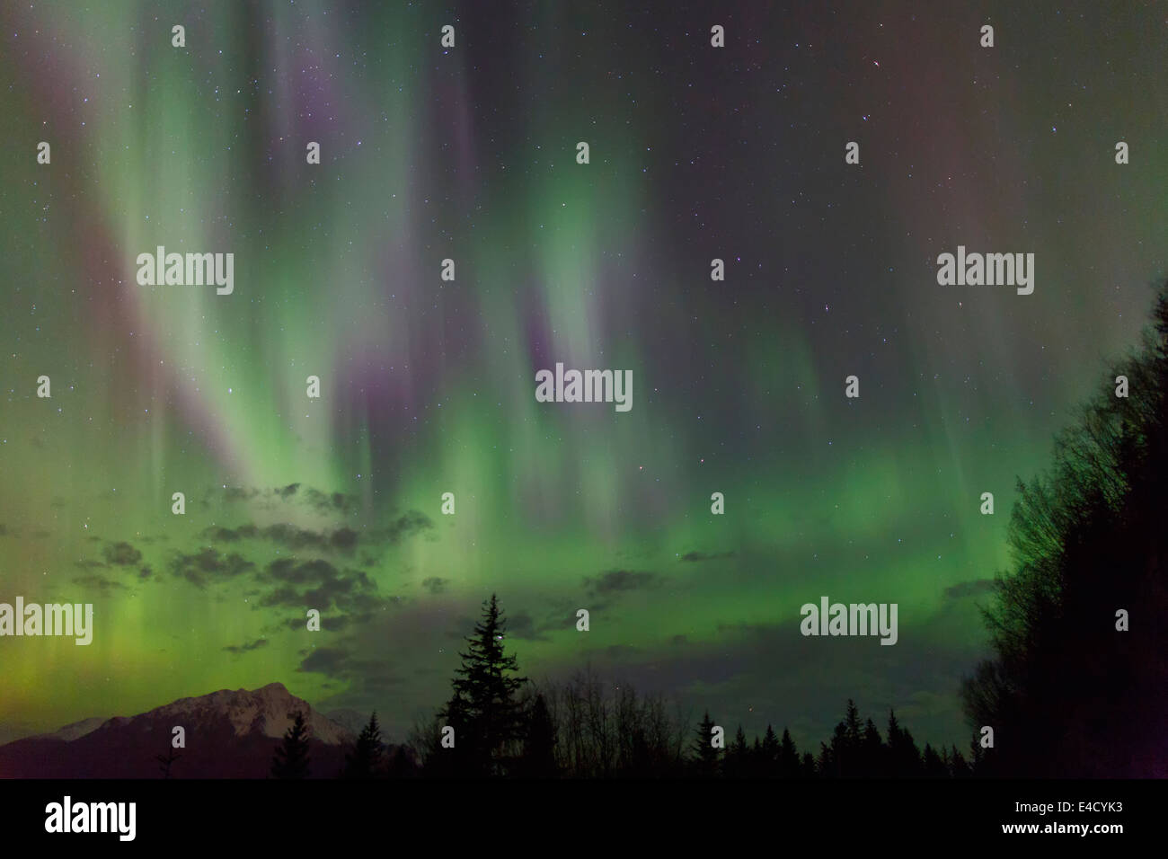 Aurora boreale sulla risurrezione Bay, Seward, Alaska. Foto Stock