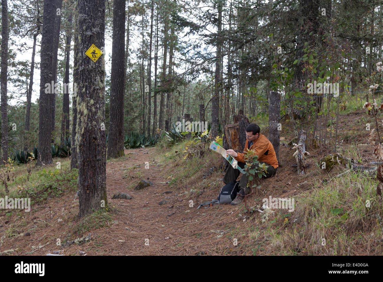 L'uomo la lettura di una mappa sulla rotta 5 trail in Pueblos Mancomunados - Ixtlán distretto, Sierra Norte, Oaxaca, Messico Foto Stock